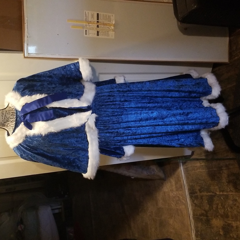 Women's Winter Costume Royal Blue Velvet With White Fur Trim Dress